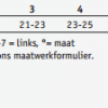 Enkel brace Bauerfeind MalleoTrain